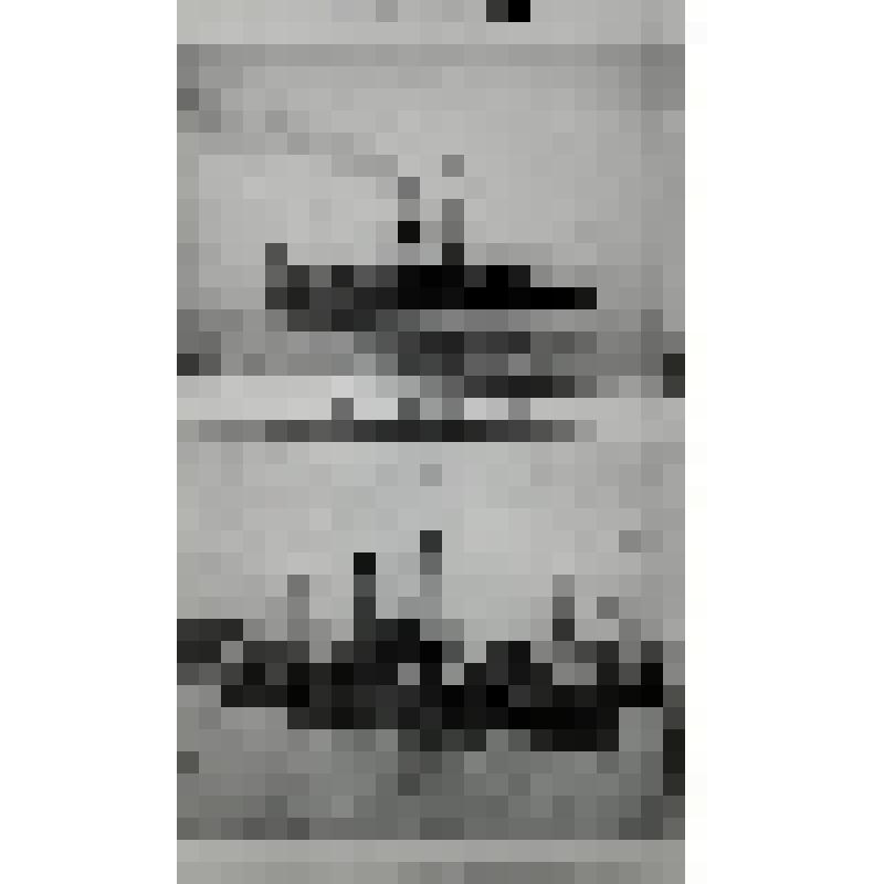 Книга. «Энциклопедический Словарь»
Начатый проф. И.Е. Андреевским, продолжается под редакцией К.К. Арсеньева и заслуженного профессора Ф.Ф. Петрушевского.
Том ХХVII А  (54 полутом)  Лит. Репина  – Рясское Россия.
Издатели: Ф.А. Брокгауз (Лейпциг), И.А. Еф