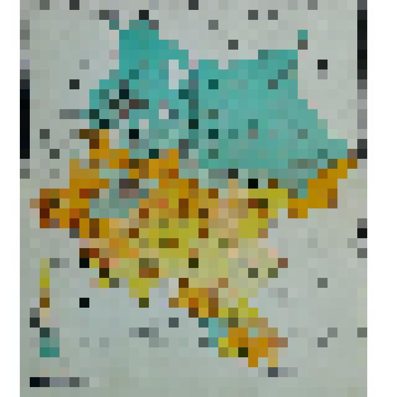 Книга. «Энциклопедический Словарь»
Начатый проф. И.Е. Андреевским, продолжается под редакцией К.К. Арсеньева и заслуженного профессора Ф.Ф. Петрушевского.
Том ХХVII А  (54 полутом)  Лит. Репина  – Рясское Россия.
Издатели: Ф.А. Брокгауз (Лейпциг), И.А. Еф