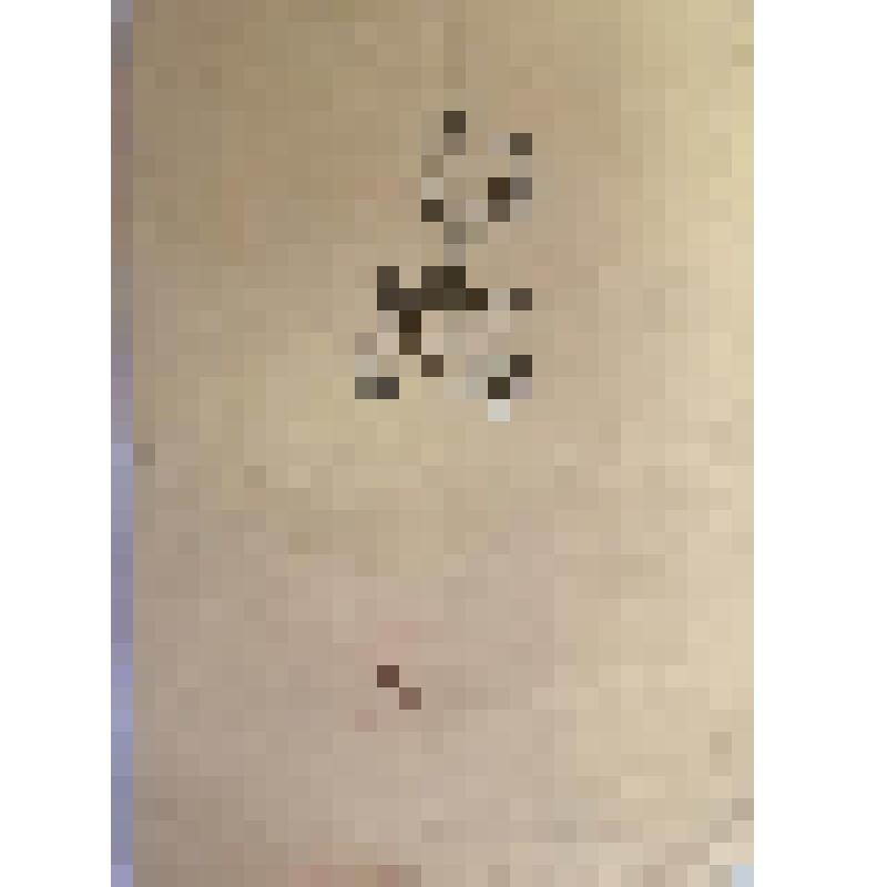 графика. Дмитрий Митрохин. Экслибрис Г.Н. Петникова