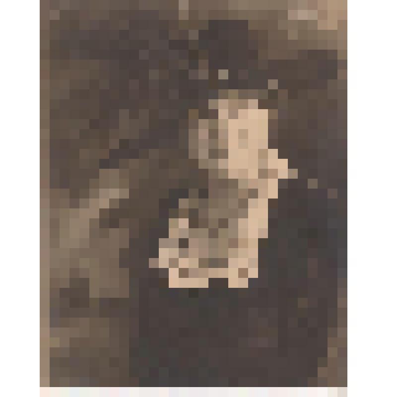 Фотография. Мэри Донстон - бабушка Виктора Петровича  Обнинского