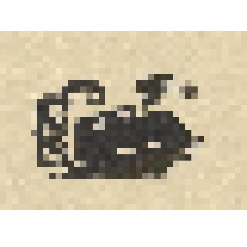 Автомобиль. Экслибрис. М. Прево "Невинный человек", гравюра