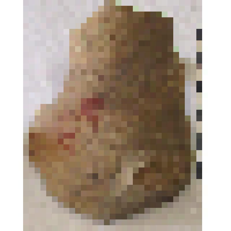 Фрагмент нижней части горла амфоры типа D с дипинти