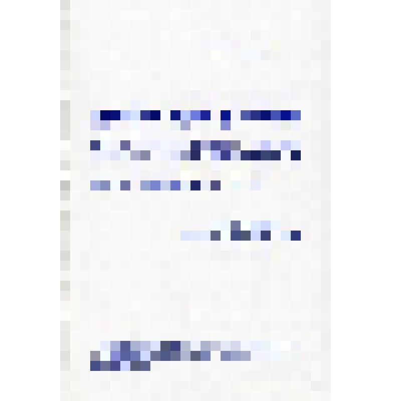 Приглашение Пизанского исполнительного комитета Т.Н. Кары-Ниязову на празднование IV столетия со дня рождения Галилео Галилея. ( в конверте). Итальян. яз