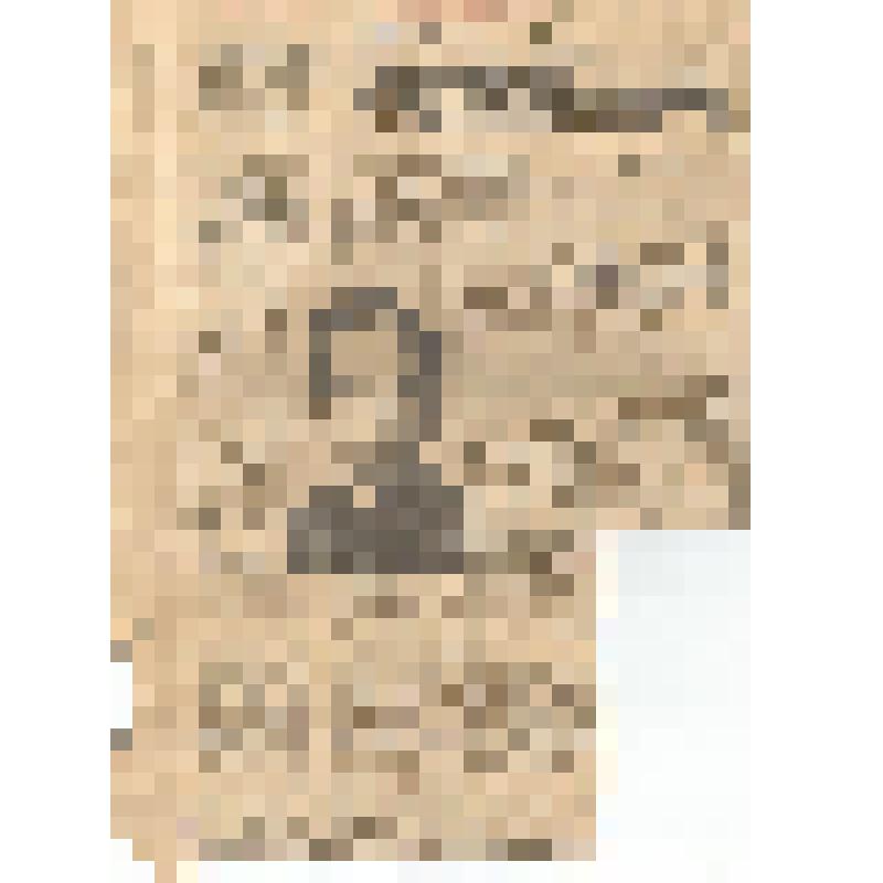 Вырезка из газеты со статьей Ушатина В.Н. о Франкфурте С.М