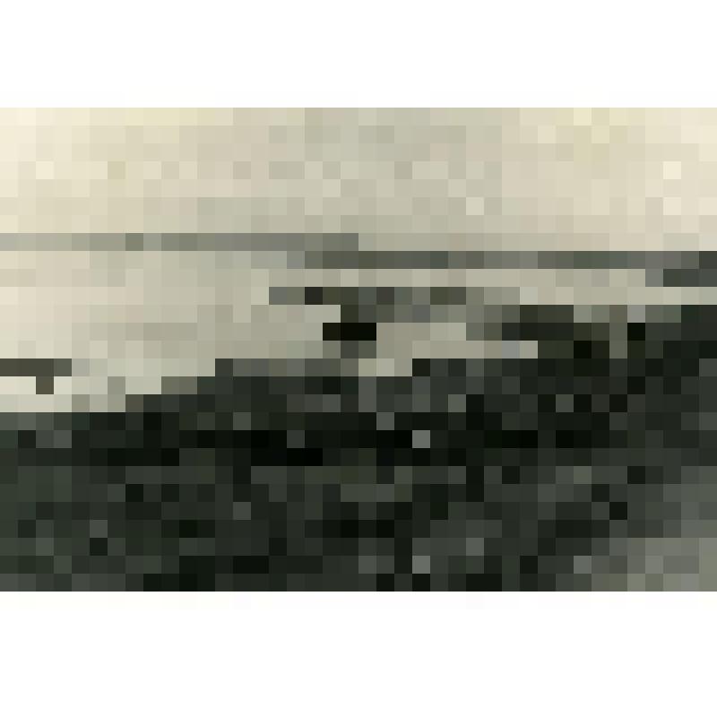 Фотография. Плывун на Ангаре