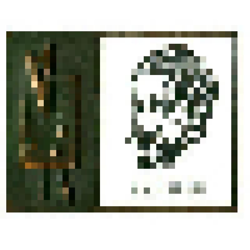 Значок. Серов В.А. на булавке. СССР