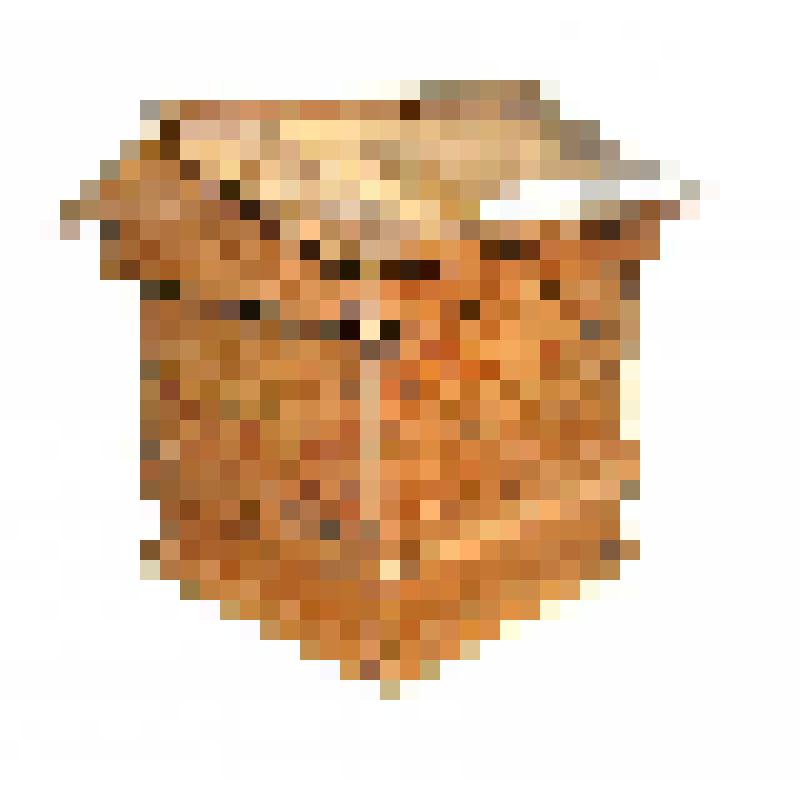 Модель улья Дадана на 12 рамок