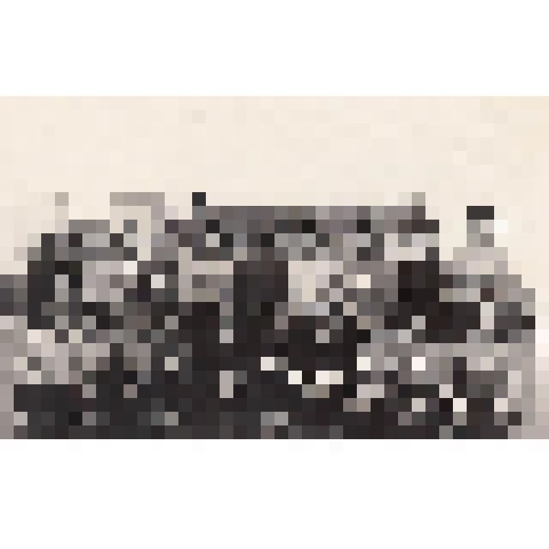 Фотография "Спортсменки педагогического училища"