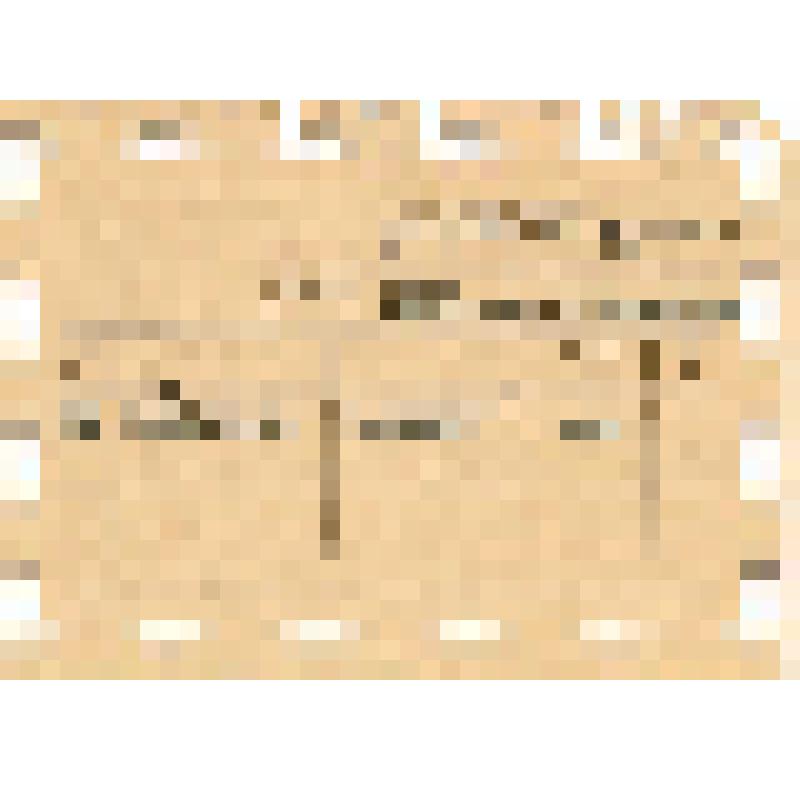 Документ. Карточка учета кадров Пауничева Алексея Николаевича