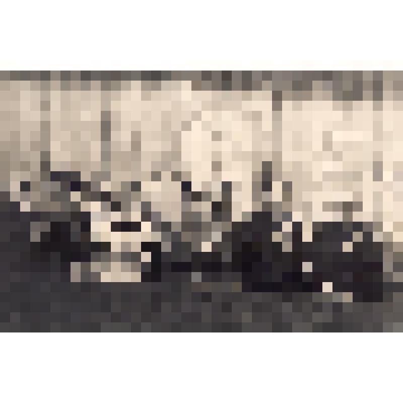 Фото. Ю.А.Гагарин в президиуме торжественного собрания, посвященного 25-летию трудовых резервов