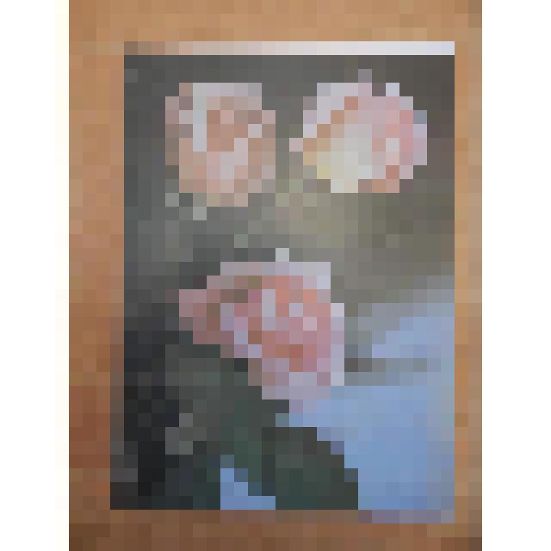 Кириллова Наталия Николаевна (зрительница). Открытка к Смоктуновскому И.М. с поздравлением с днем рождения; с воспоминаниями о своем посещении его дома в 1967 г. Приложение: фотография Н.Н. Кирилловой - 1 л., фотография Кати Кирилловой (дочери Н.Н. Кирилл