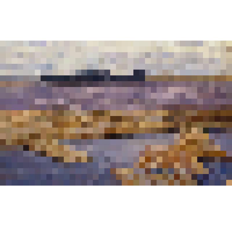 Картина "Северная Двина"