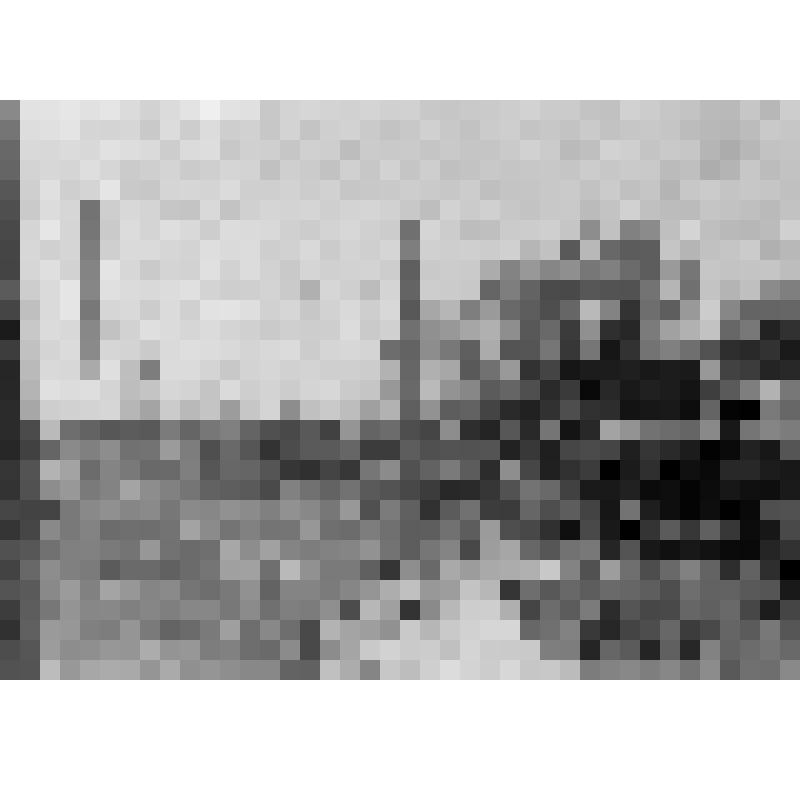 Нагрузка эшелона в Цеханове