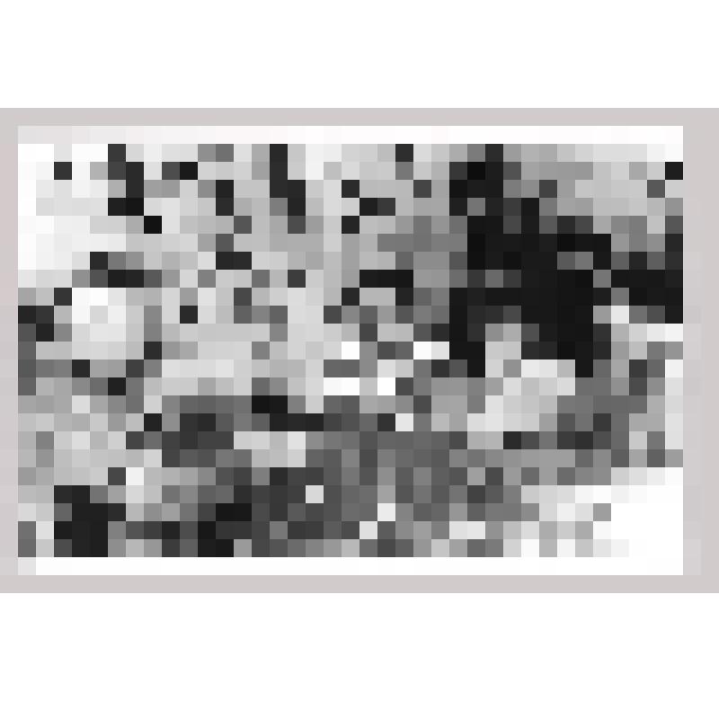 Фотография. В редакции детской областной газеты "Остров сокровищ"