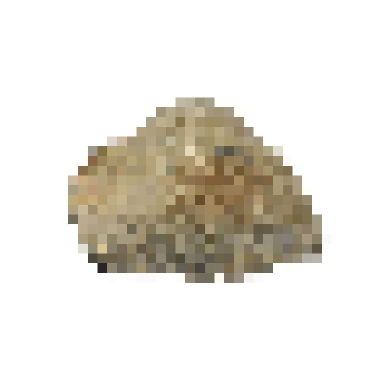 Отщеп с вентральной притупливающей ретушью на дистальном крае; скобель с извилистым лезвием