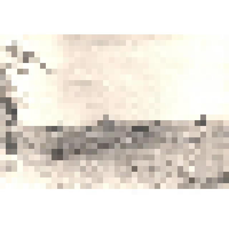 Фотография   "Деревня Арабач. Карыбйыв, вид часовни во имя святых Первоверховных Апостолов Петра и Павла ."