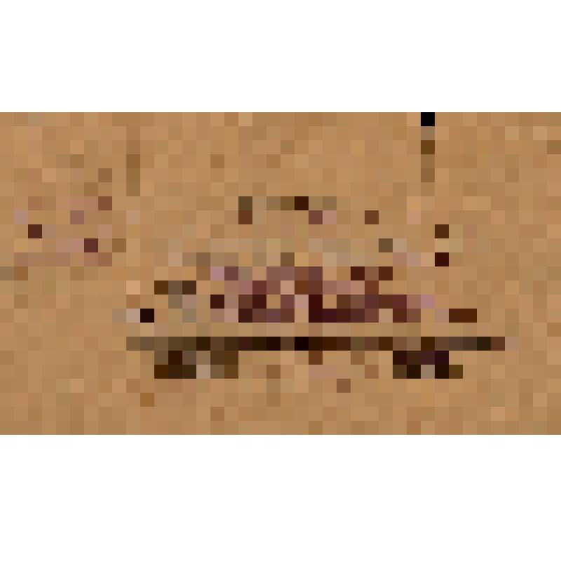 Документ. Удостоверение № П.К.137 Дрыгина Д.И. о сдаче поверочных испытаний при Октябрьском приисковом управлении треста "Амурзолото" по специальности "драгер малолитражной драги"