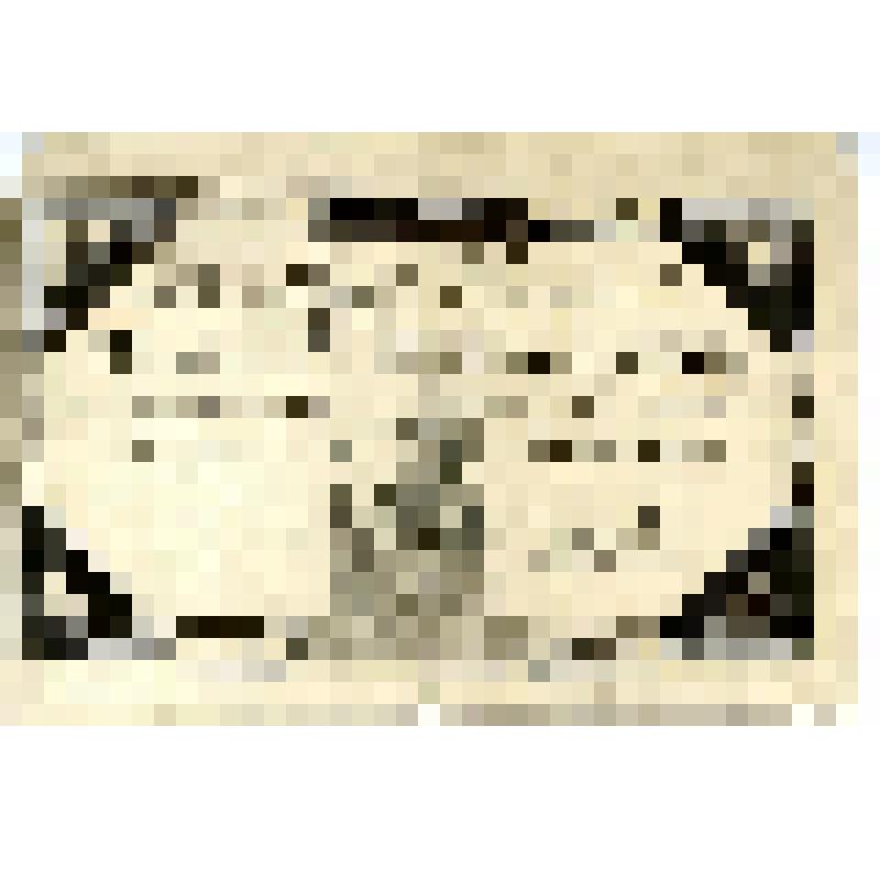 Ассигнат 50 ливров