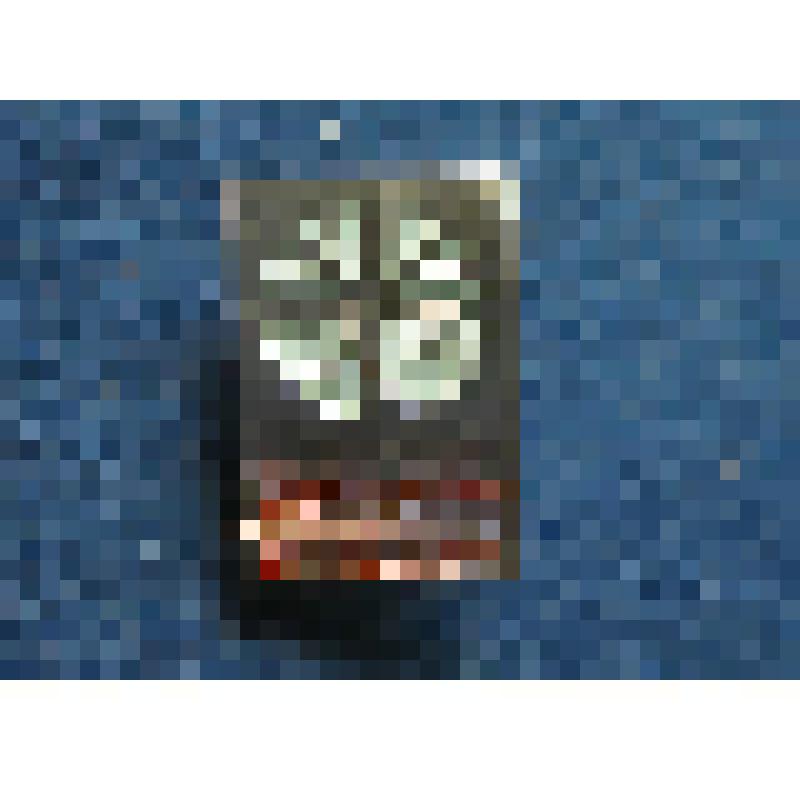 Значок. Сыктывкар - Свердловск. 1961