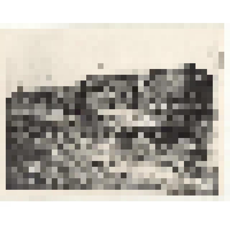 Фотоснимок. Строительство детского дома в п. Подпорожье, 1937 г. (по истории Подпорожского района XIX - XX вв.)