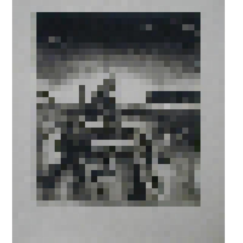 Кровельщик. Из комплекта: Серия "Сельские строители"