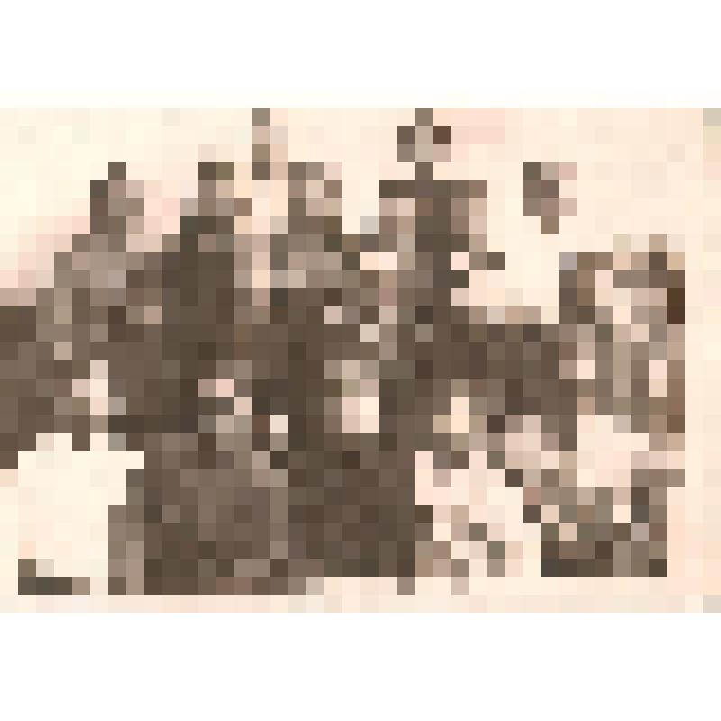 Фотография. Учащиеся 8 «А» класса Самойловской средней школы