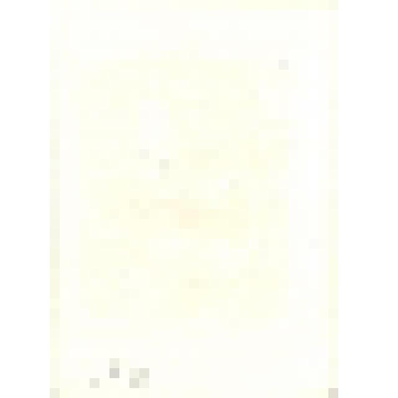 Вечер. 1980