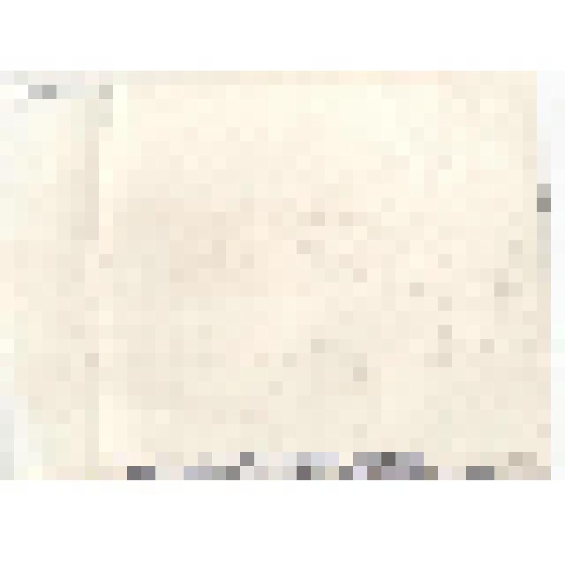 Фотография. Ветераны бронепоезда "Москвич" Точилин К.И, Басов И.Я., Неплюев А.Т