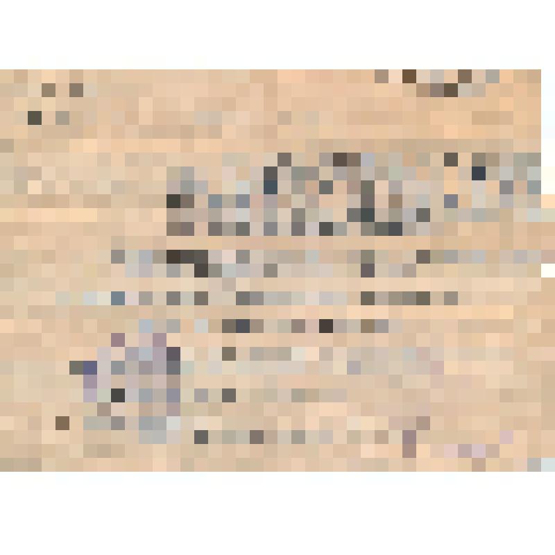 Документ. Копия справки об оставлении на жительство в Иркутске бывшего белого чиновника Пимнева А. Исх. № 580 от 2.11.1923 г