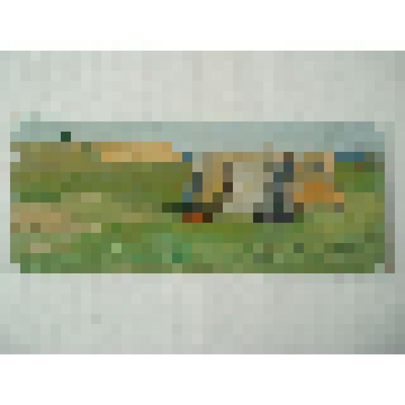 Лунёв В.И.  "Лето. Палатка" 