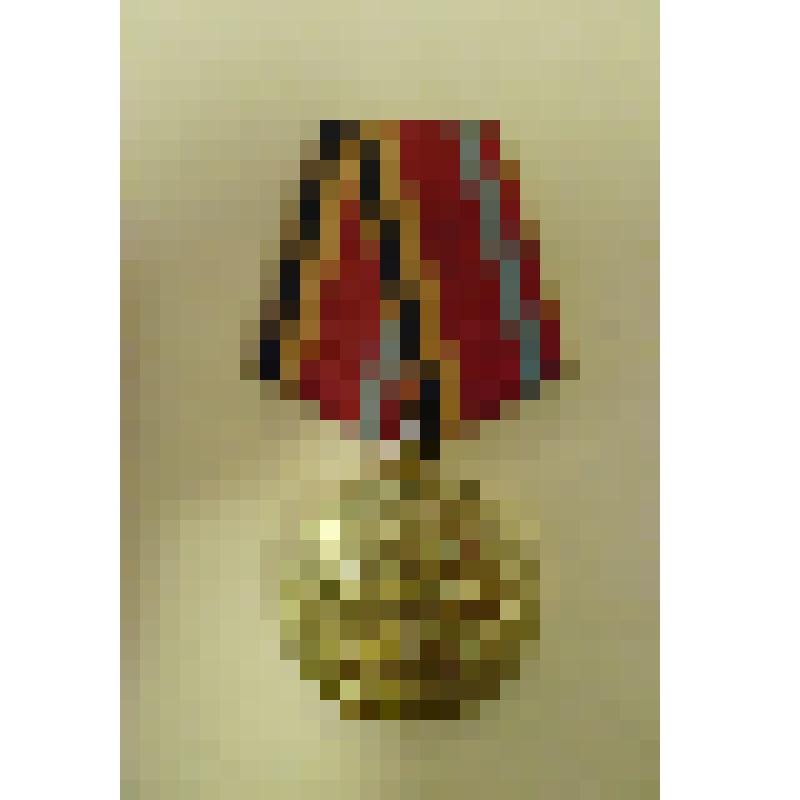 Медаль " 30 лет Победы в Великой Отечественной войне 1941-1945 г.г. " Чарковского А.Э