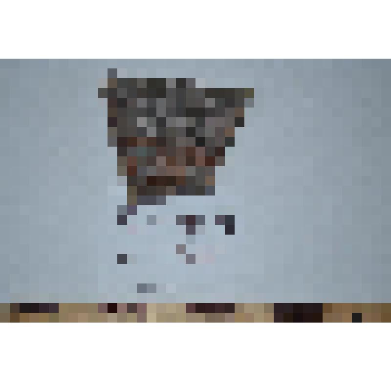 чаши мегарской края фрагмент