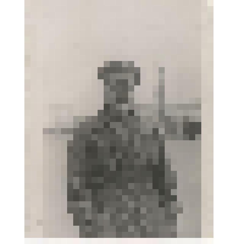 Фотография. Летчик на Дворцовой площади