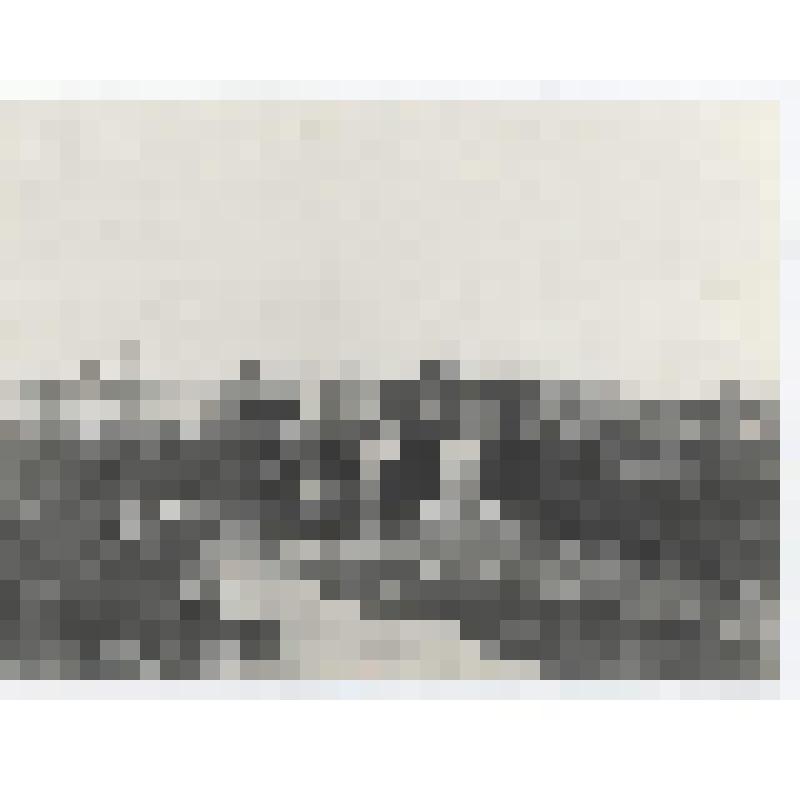 Фотография. Вид на Томск с берега реки Ушайки (копия фотографии 1910 г.)