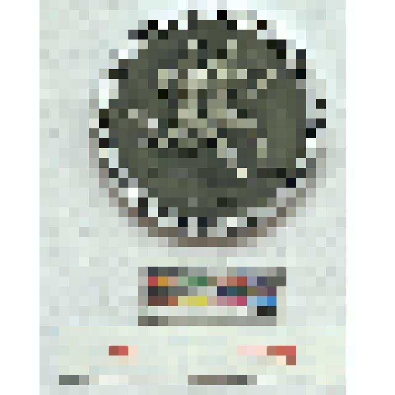 СССР. Медаль. ДСО "Спартак" - Активисту физкультуры и спорта