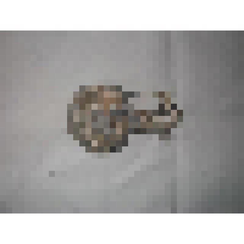 Сосуд для благовоний