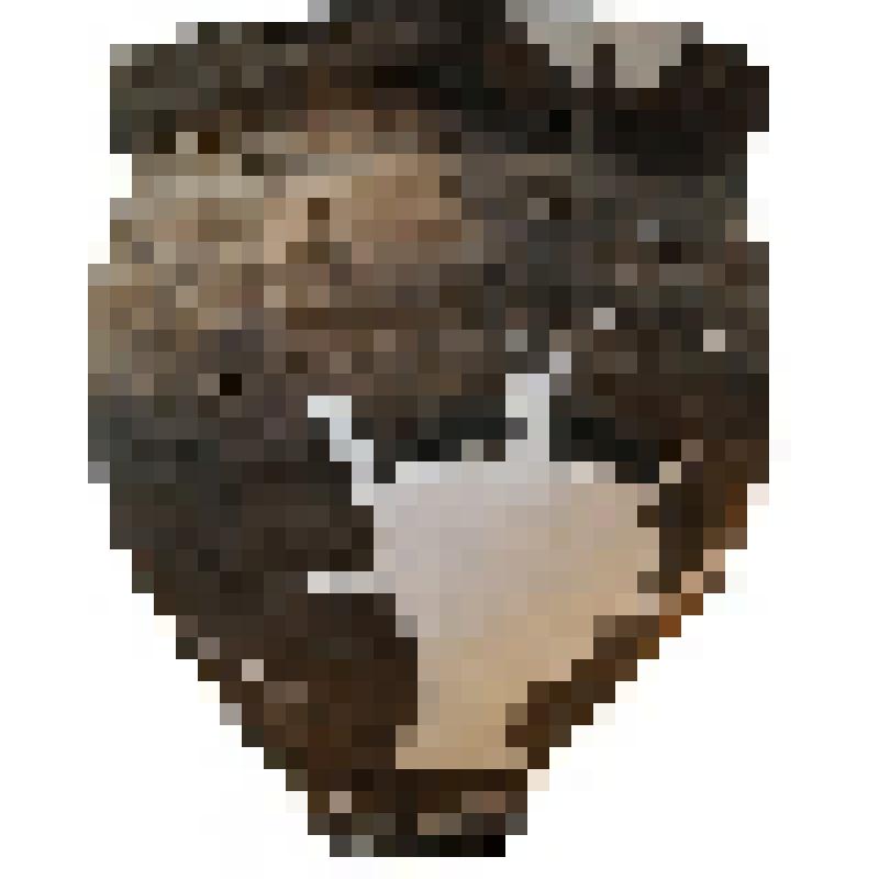 Сосуд вазовидный