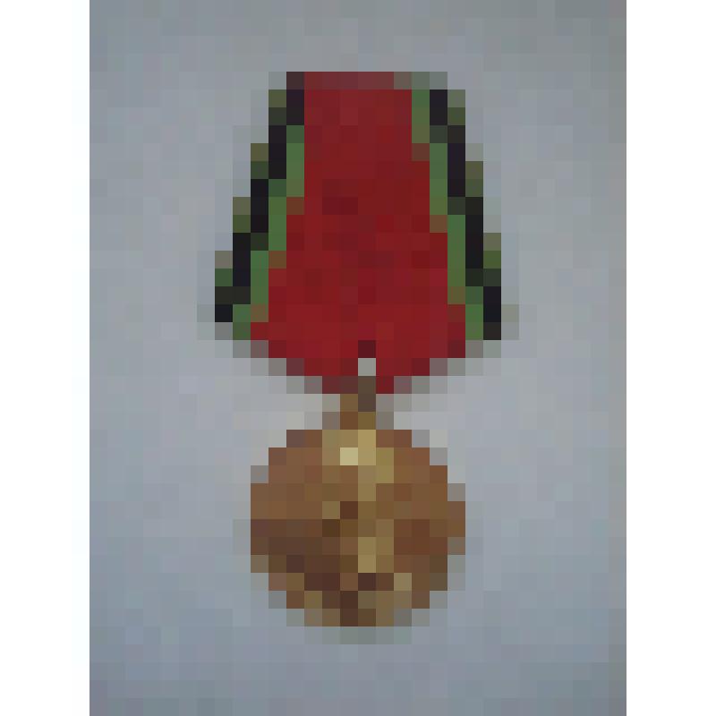 Медаль "20 лет Победы в Великой Отечественной войне", на пятиугольной колодке Цехмистренко Михаила Ивановича