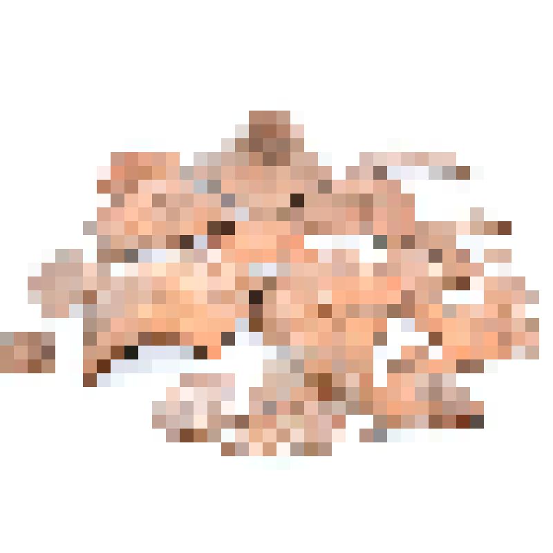 Сосуд (фрагмент)