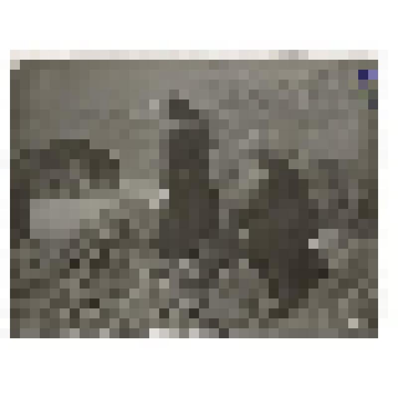 Л.Н. Толстой с дочерью Александрой на берегу моря