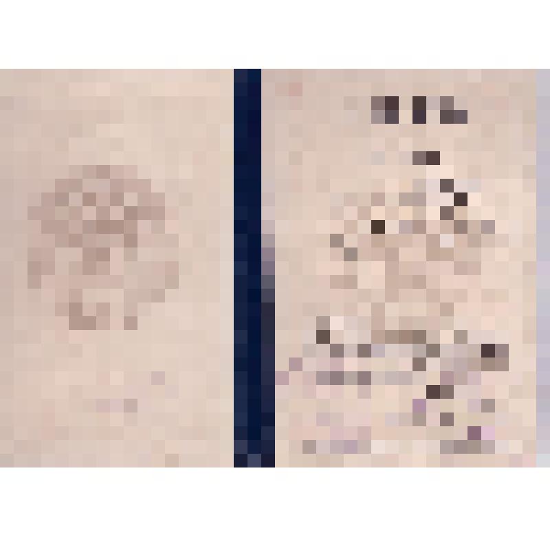 Диплом Б N 175941 на имя Гуськовой Л.И об окончании МГУ по специальности "история"