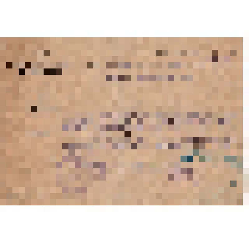 Удостоверение Зильбера Л.А., командированного на обследование вспышки брюшного тифа в г. Дзержинск