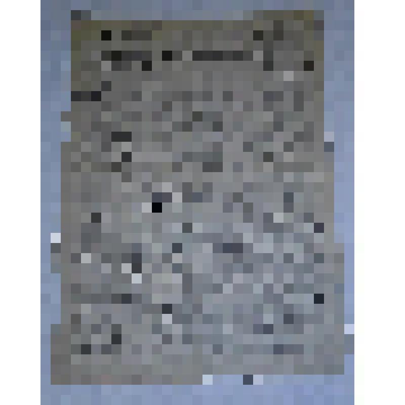 Газета. «Воин Родины». Красноармейская газета