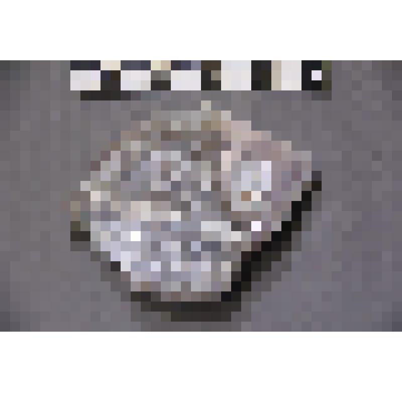 коллекция В.Ф. Лагодича. Талисман каменный лежащий. Выполнен в виде рыбы