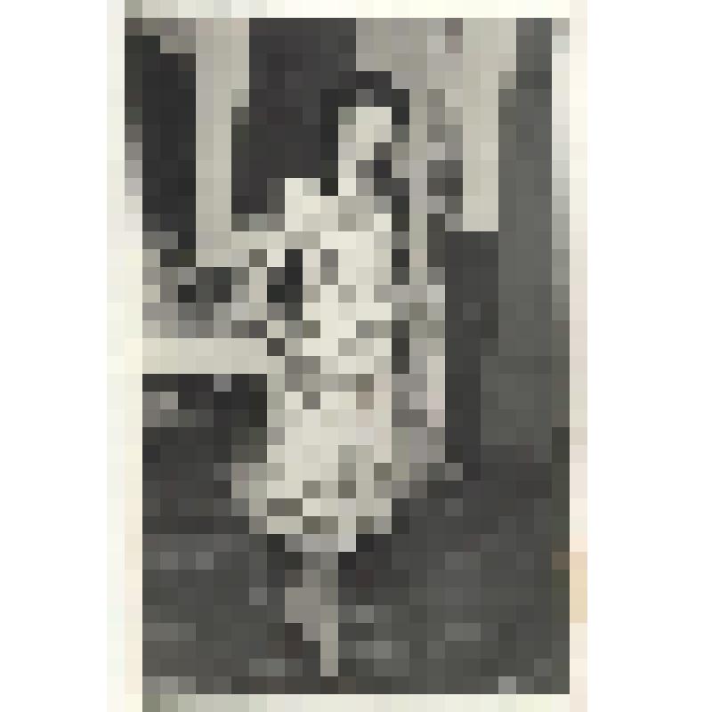 Фотография. Спешкова Р.А. в ателье "Светлана", на показе моделей