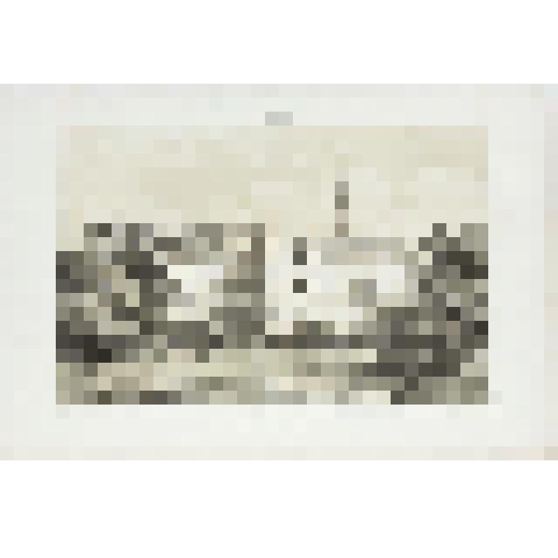 Литография. "Санкт-Петербург. Дворец Павла I со стороны Летнего сада."