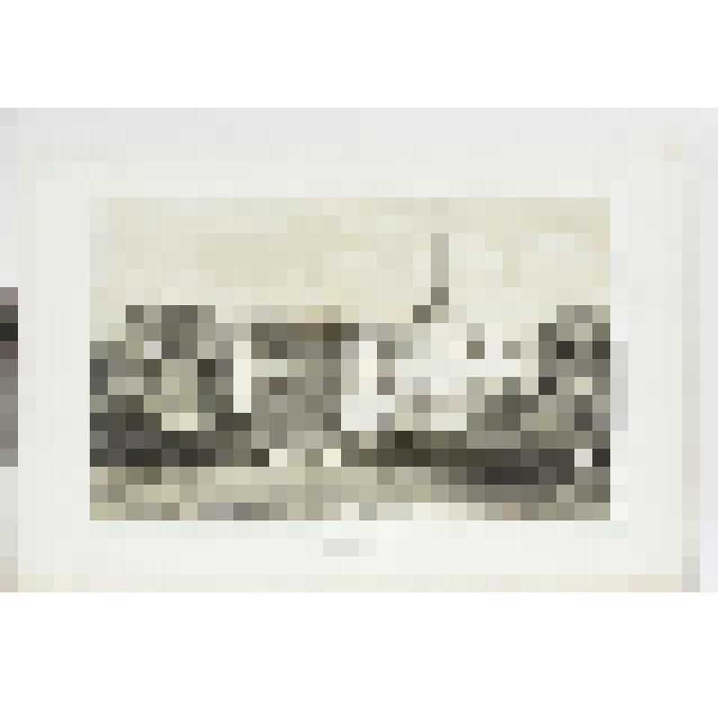 Литография. "Санкт-Петербург. Дворец Павла I со стороны Летнего сада."