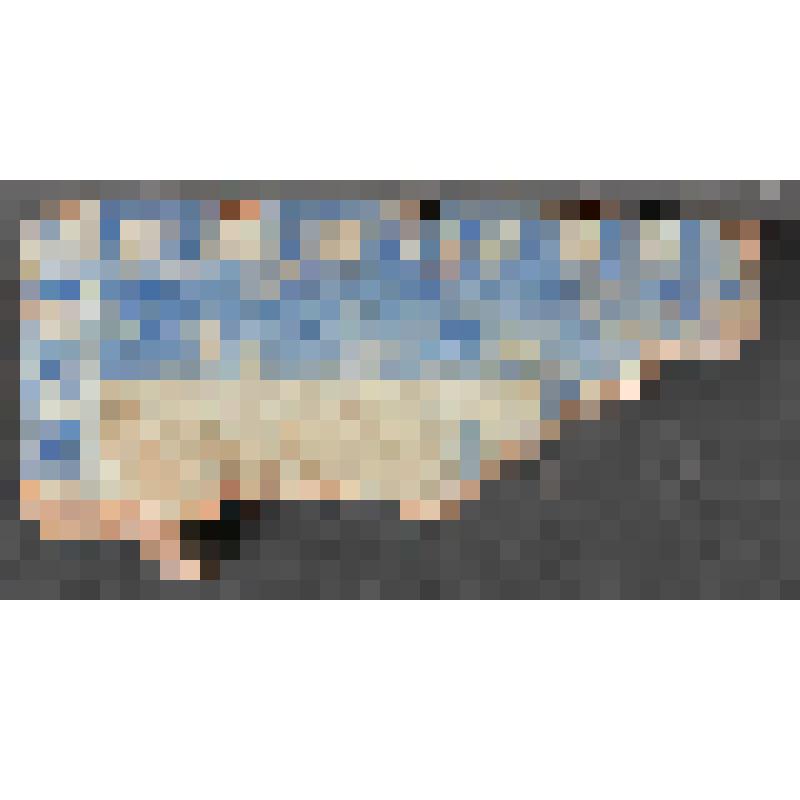 Изразец печной стенной расписной. Фрагмент: верхняя часть