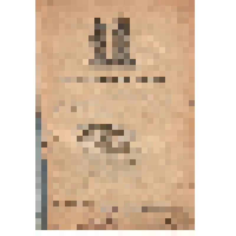 Книга (журнал): "Воронежские епархиальные ведомости, часть неофициальная", 1911 г. № 8