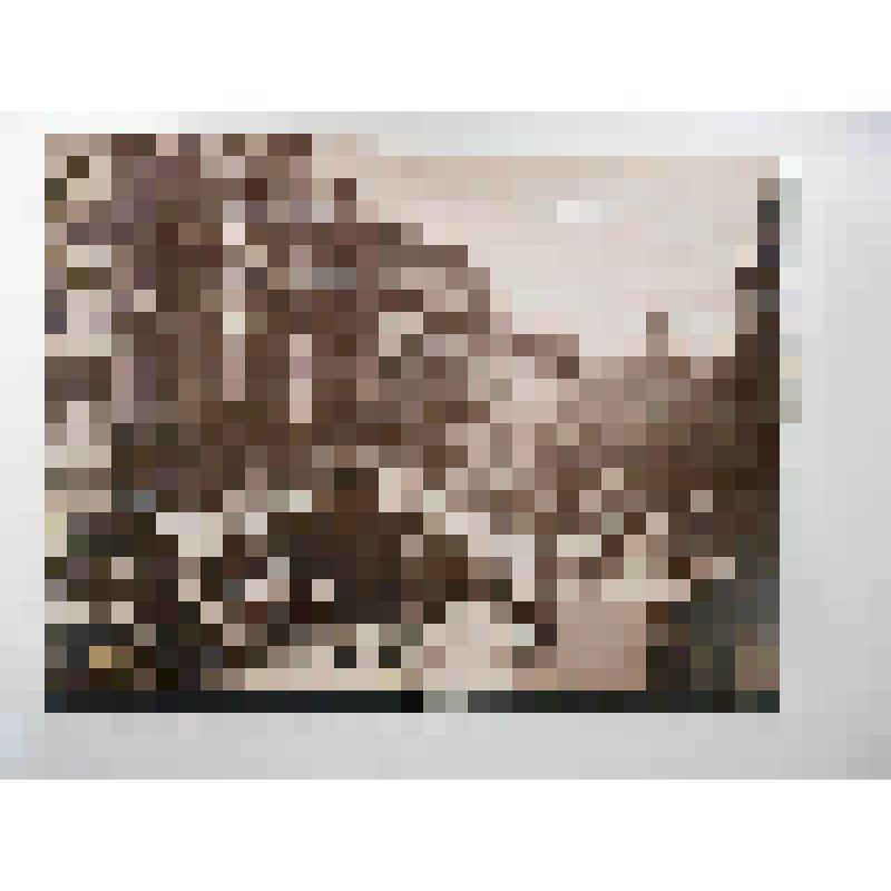 Австрия, г. Вена. Ул. Грабен. Перспектива. A. Wimmer